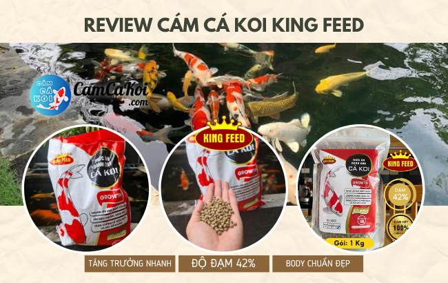 Review cám cá koi king feed