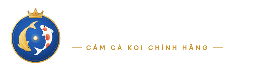 Vua Cám Koi
