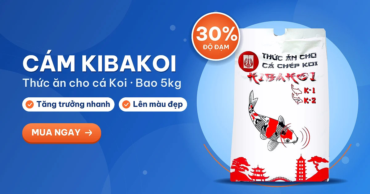 Bao cám Kibakoi 5kg 2 in 1 – thức ăn cho cá Koi độ đạm 30%, giúp cá tăng trưởng nhanh, lên màu đẹp