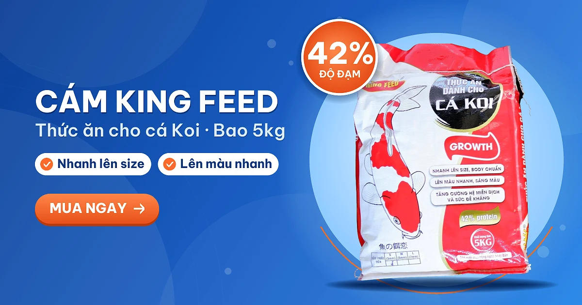 Bao cám King Feed Growth 5kg – thức ăn cho cá Koi 42% protein, giúp cá nhanh lên size, body chuẩn, lên màu nhanh