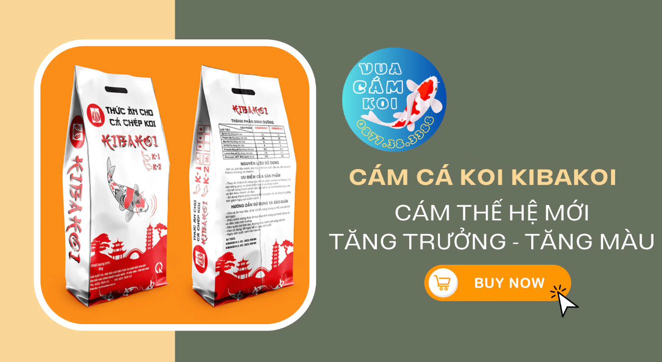 Thức ăn Cá Koi KIBAKOI bao 5kg