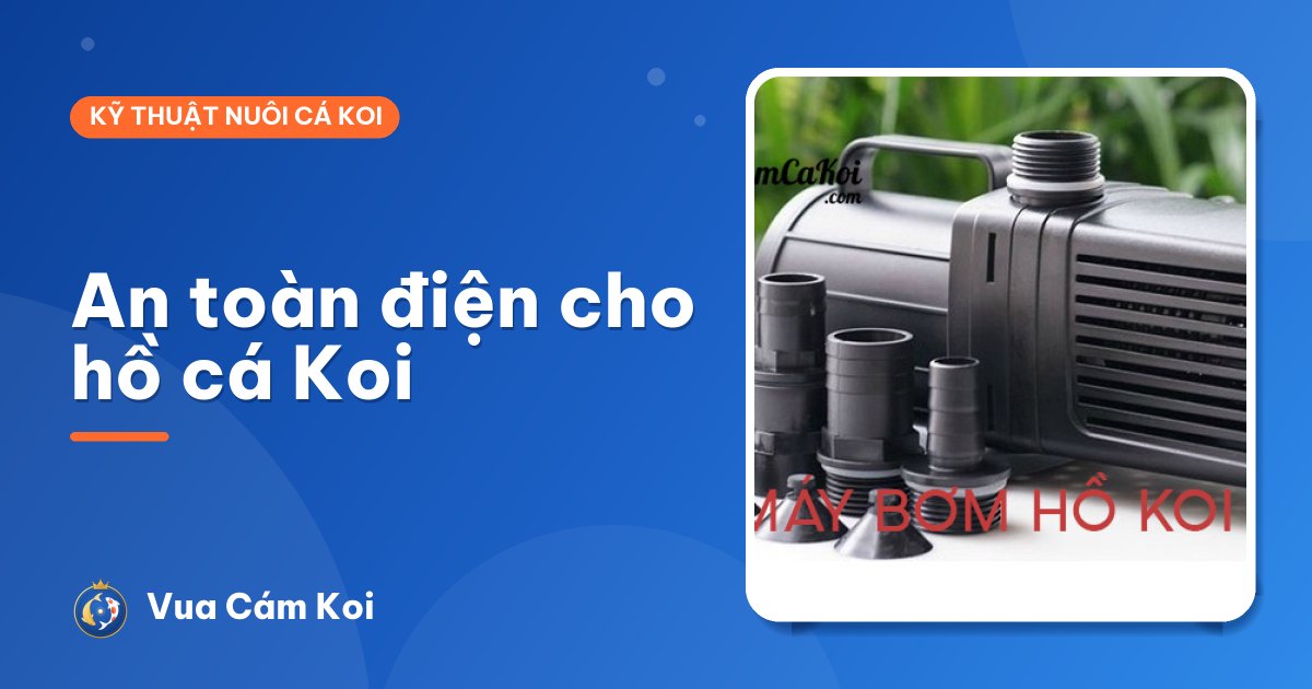 An toàn điện cho hồ cá Koi: chống giật, chống rò và mất điện
