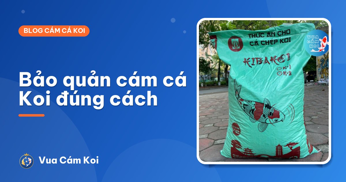 Cách bảo quản cám cá Koi: mở bao rồi dùng được bao lâu?