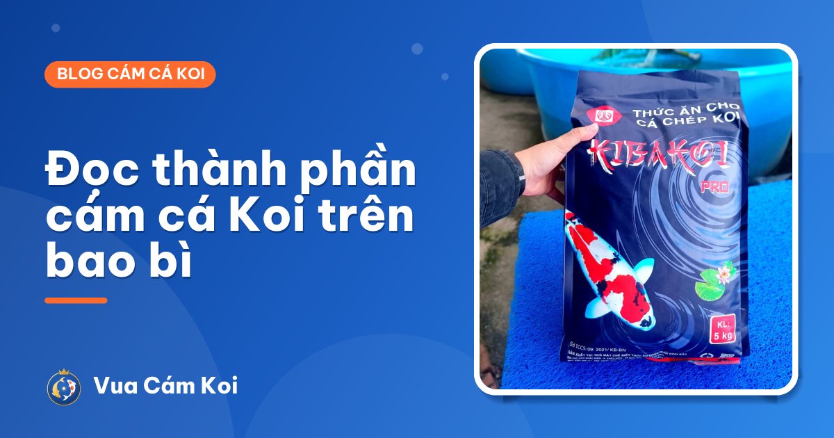 Cách đọc thành phần cám cá Koi trên bao bì: đạm, béo, xơ, tro nghĩa là gì?