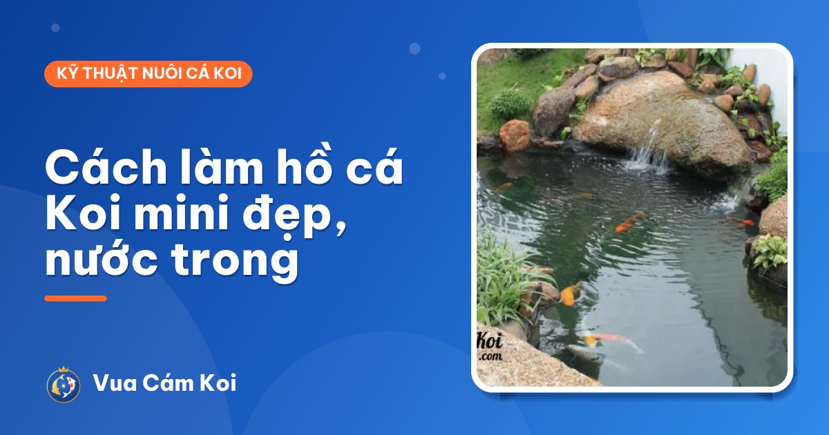 Cách làm hồ cá Koi mini đẹp, nước trong: kích thước, lọc, thiết bị