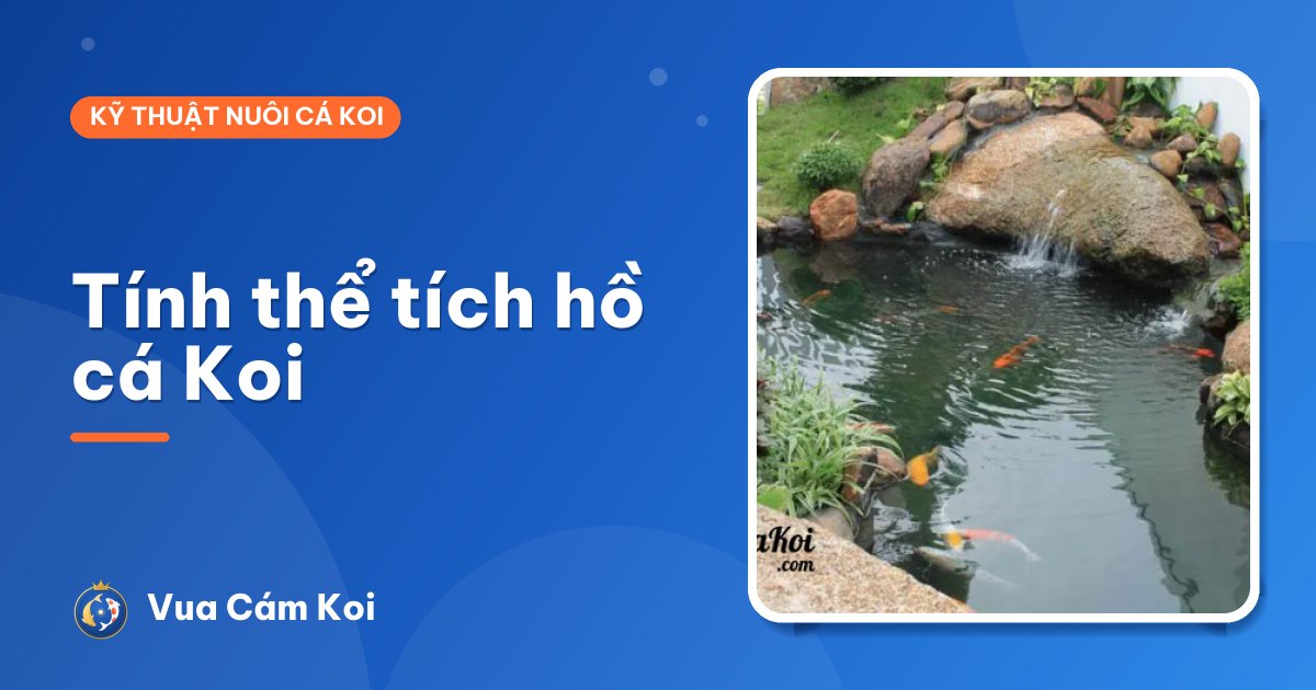 Cách tính thể tích hồ cá Koi (có công cụ tính tự động)