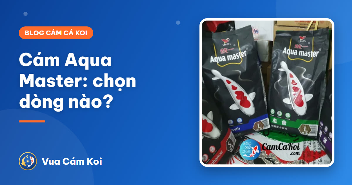 Cám Aqua Master: Staple, Growth, Hi Growth, Color – chọn loại nào?