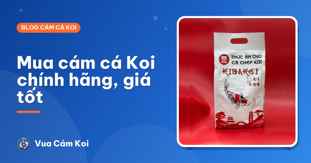 Cám cá Koi giảm giá: cách mua cám chính hãng giá tốt, không lo hàng giả