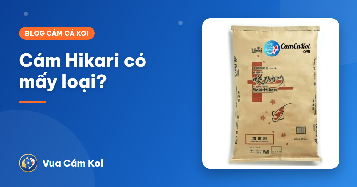 Cám Hikari có mấy loại? Phân biệt Hikari Staple, Gold, Wheat-Germ và Saki-Hikari