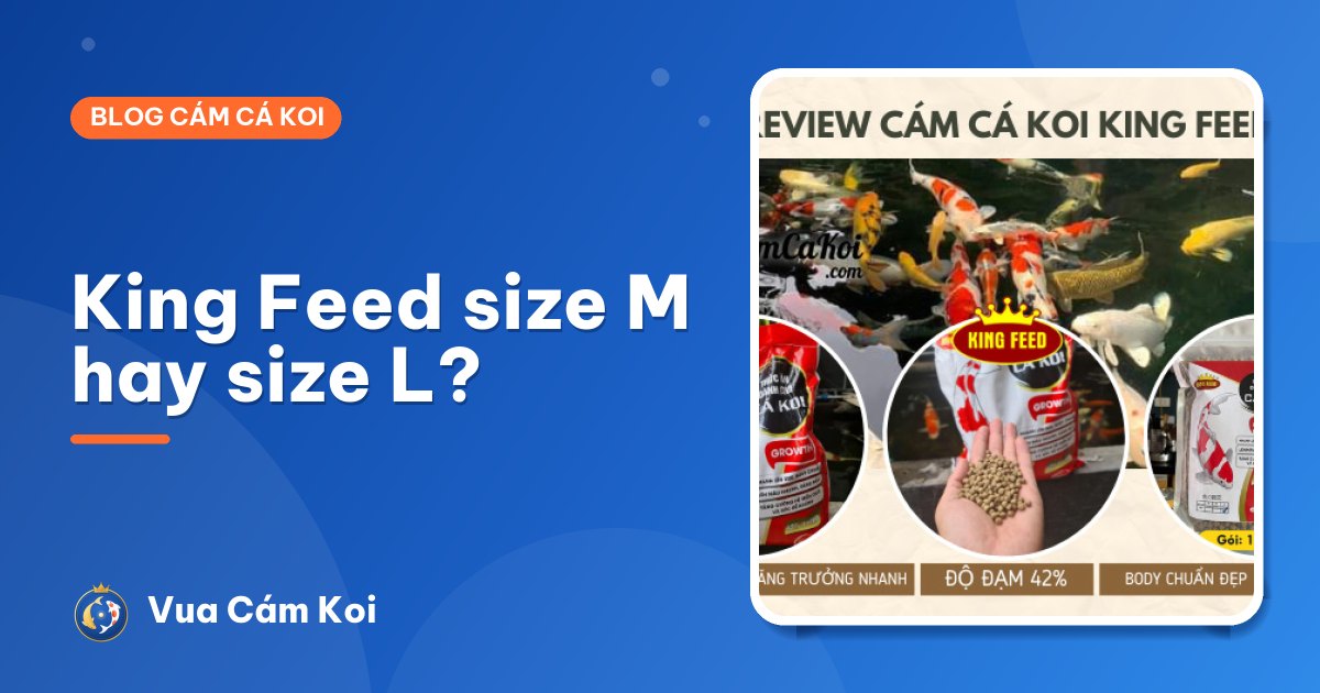 Cám King Feed size M và size L khác nhau thế nào? Chọn size nào cho cá nhà bạn