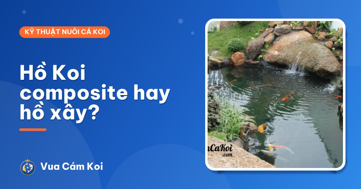 Hồ cá Koi composite hay hồ xây: chọn loại nào?