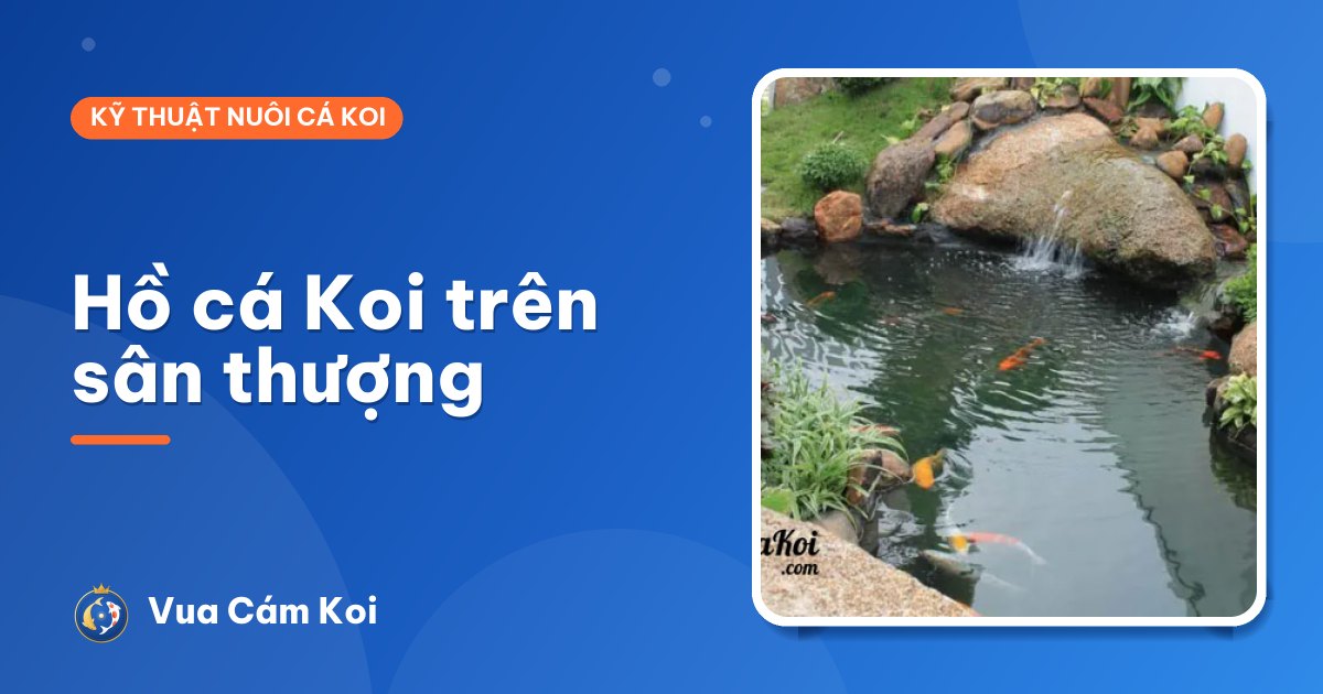 Hồ cá Koi trên sân thượng: tải trọng, chống thấm và chống nóng