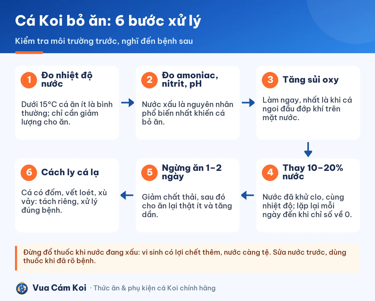 6 bước xử lý khi cá Koi bỏ ăn, bước 2 là đo amoniac, nitrit, pH