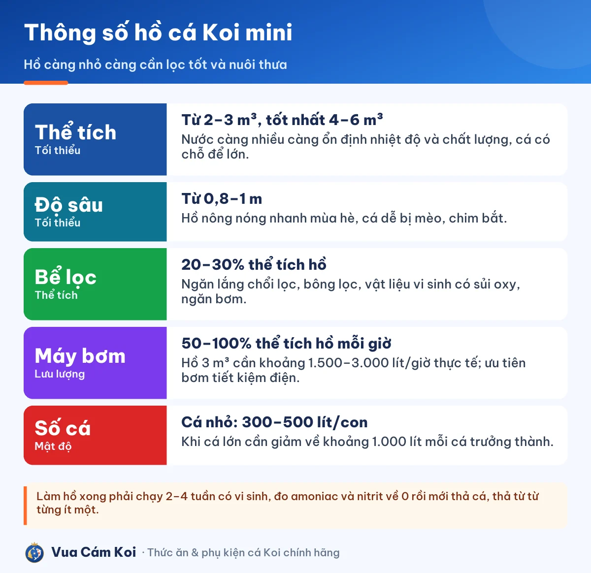 Thông số hồ cá Koi mini: thể tích, độ sâu, bể lọc, máy bơm, đèn UV, số cá