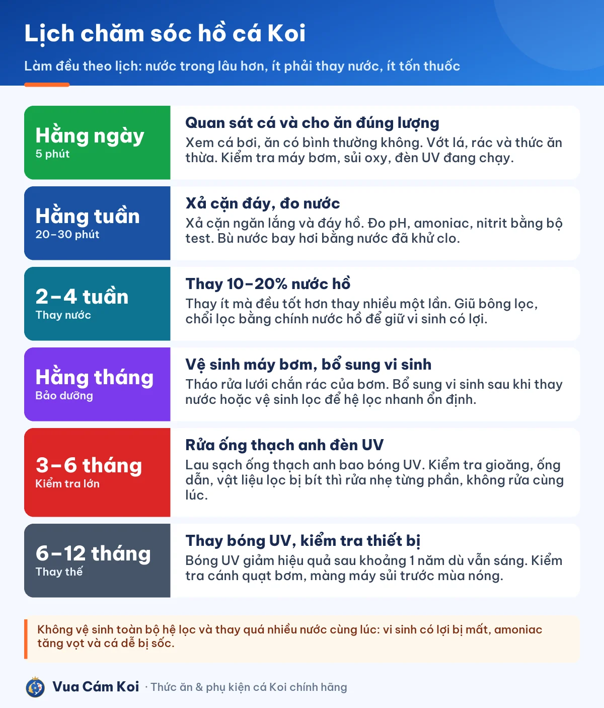 Lịch chăm sóc, vệ sinh hồ cá Koi theo ngày, tuần, tháng