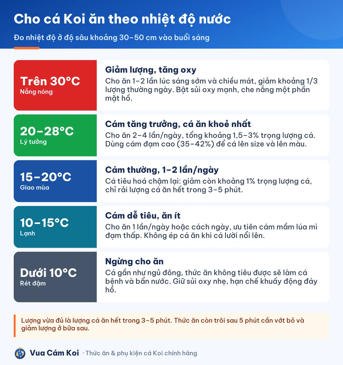 Bảng cho cá Koi ăn theo nhiệt độ nước