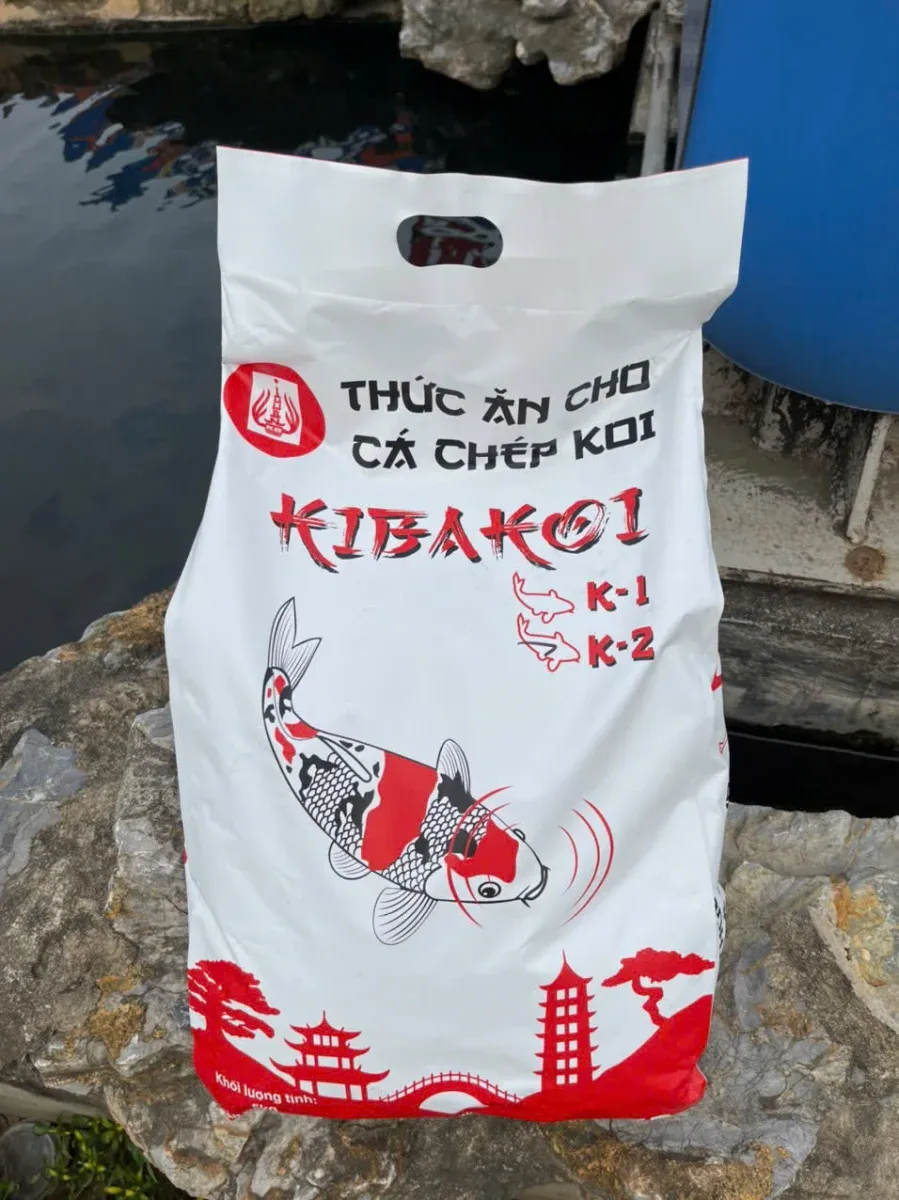 Bao cám cá Koi Kibakoi 2 in 1 5kg đặt cạnh hồ cá Koi