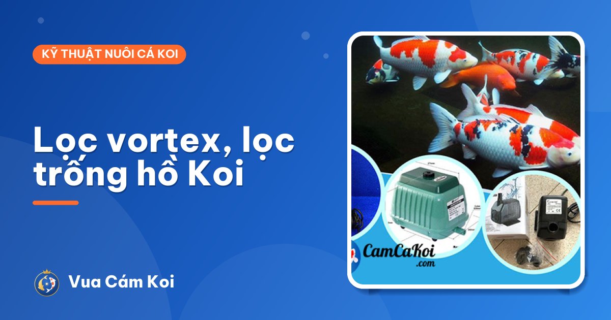 Lọc vortex, lọc trống cho hồ Koi: có đáng đầu tư không?
