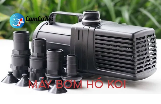 Máy bơm chìm cho hồ cá Koi kèm các đầu nối ống
