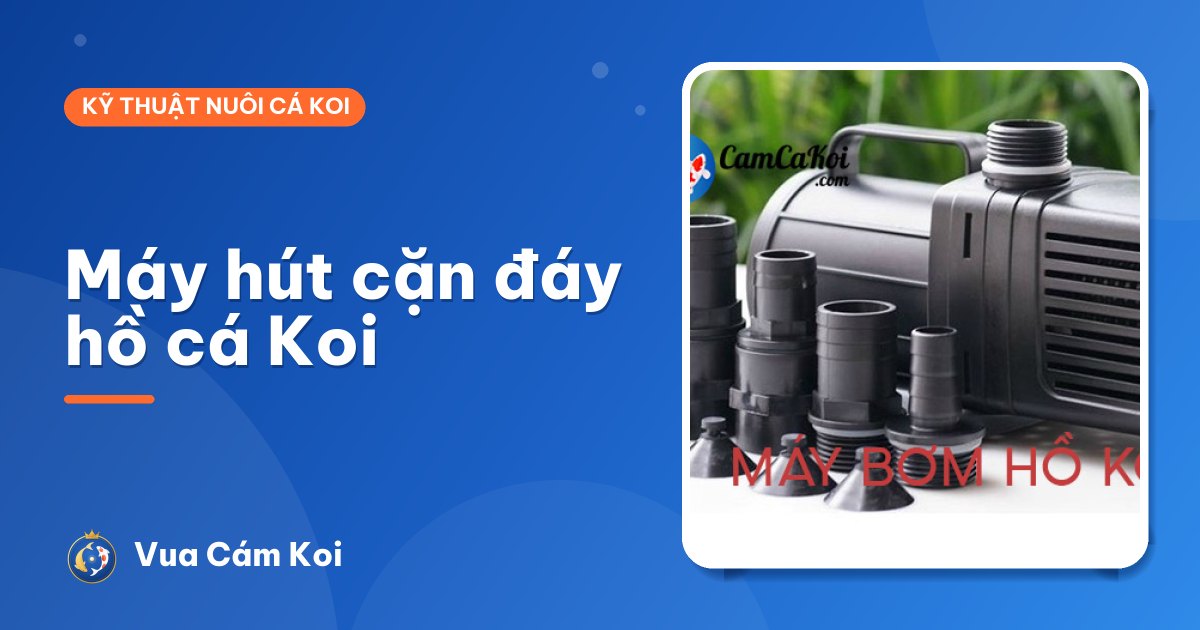 Máy hút cặn đáy hồ cá Koi: các loại và cách chọn