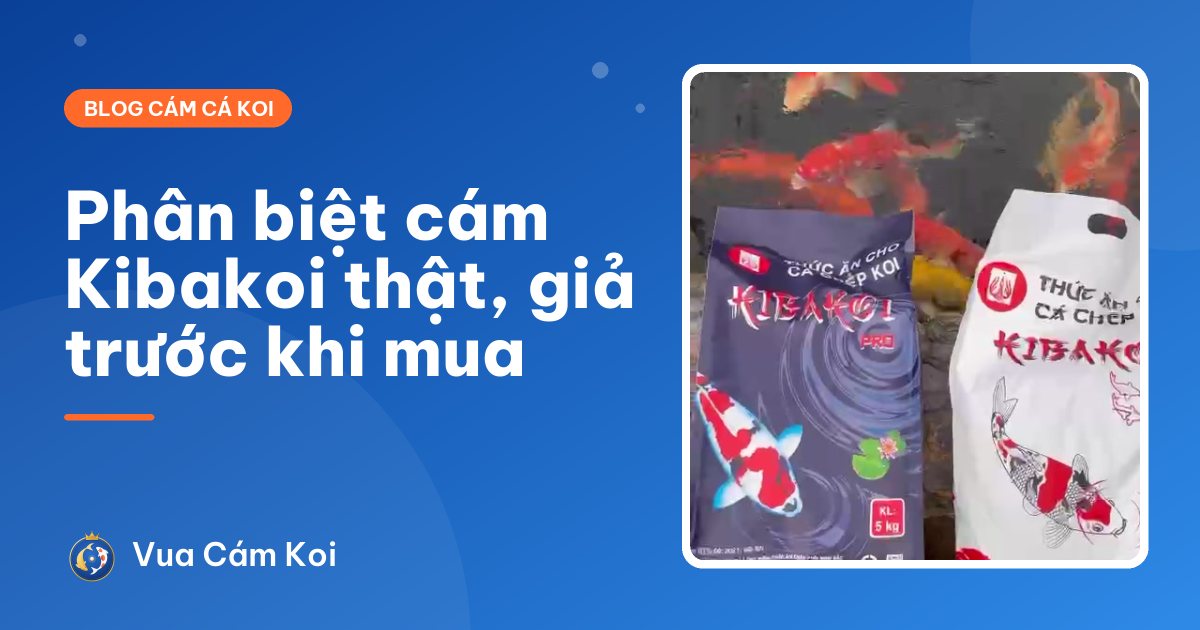 Phân biệt cám Kibakoi thật, giả: 3 bước kiểm tra trước khi cho cá ăn