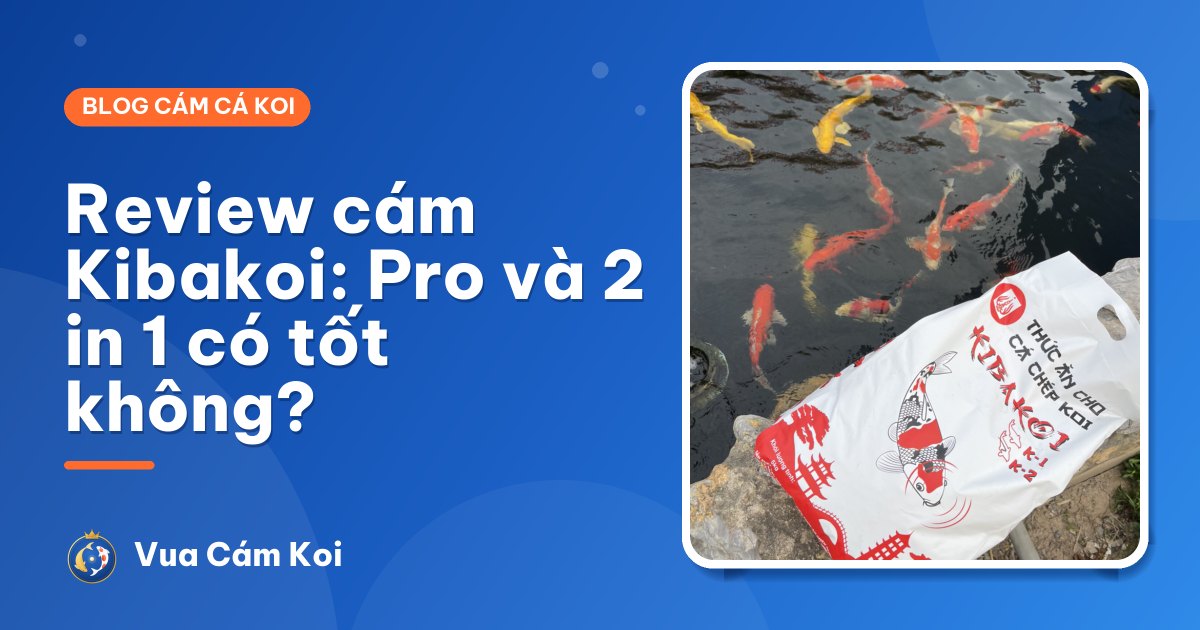 Review cám Kibakoi: Kibakoi Pro và Kibakoi 2 in 1 có tốt không, nên chọn loại nào?