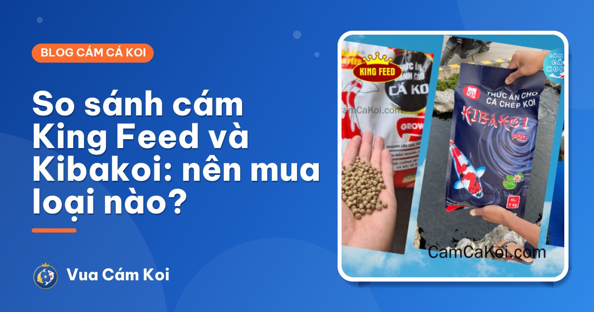 So sánh cám King Feed và Kibakoi: nên mua loại nào cho hồ của bạn?