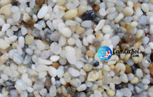 Sỏi thạch anh tự nhiên, loại sỏi trơ an toàn cho hồ cá Koi