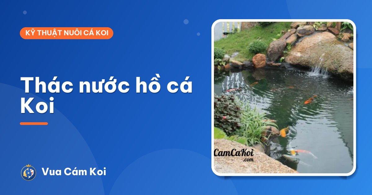 Thác nước hồ cá Koi: đẹp, mát và tăng oxy – làm sao cho đúng?