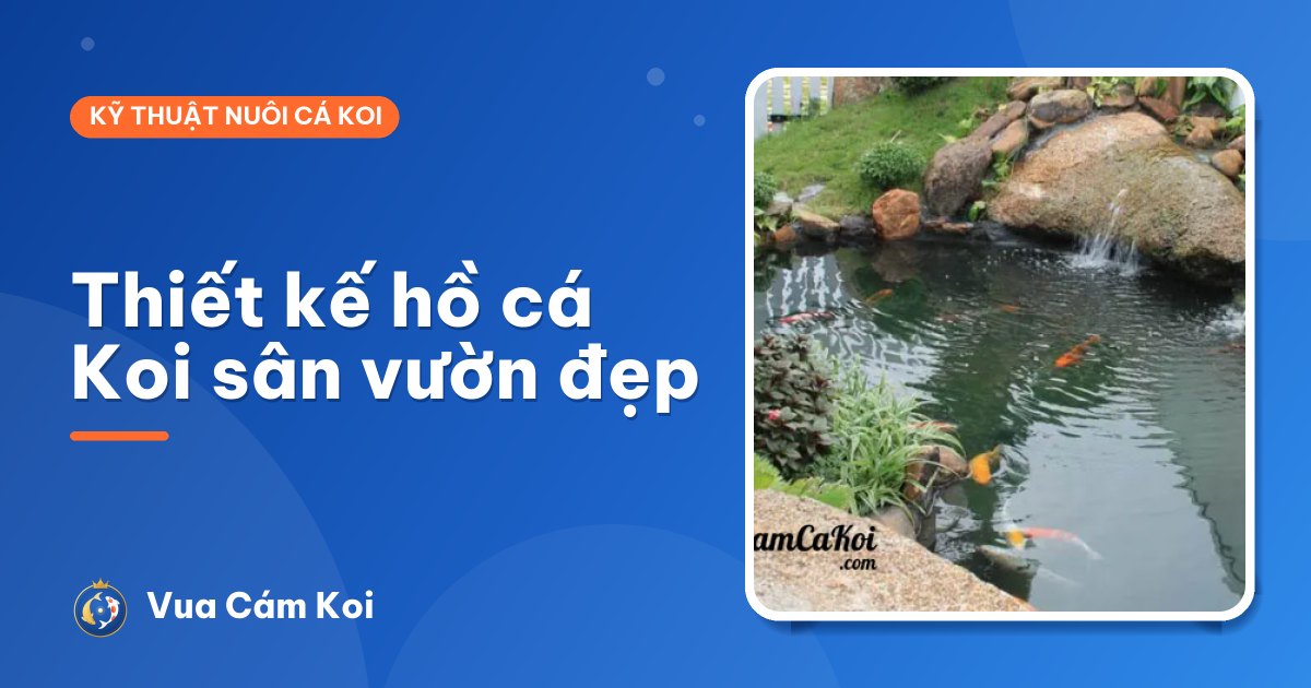 Thiết kế hồ cá Koi sân vườn đẹp: hình dáng, bố cục và những lỗi nên tránh
