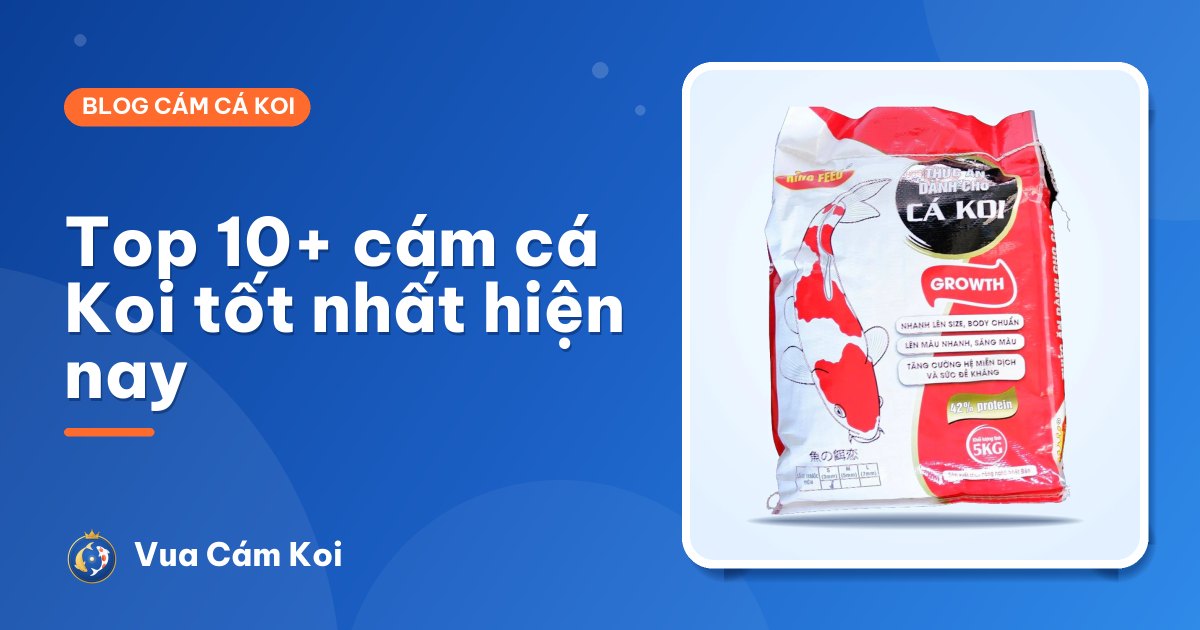 Top 10+ cám cá Koi tốt nhất: tăng trưởng nhanh, lên màu đẹp