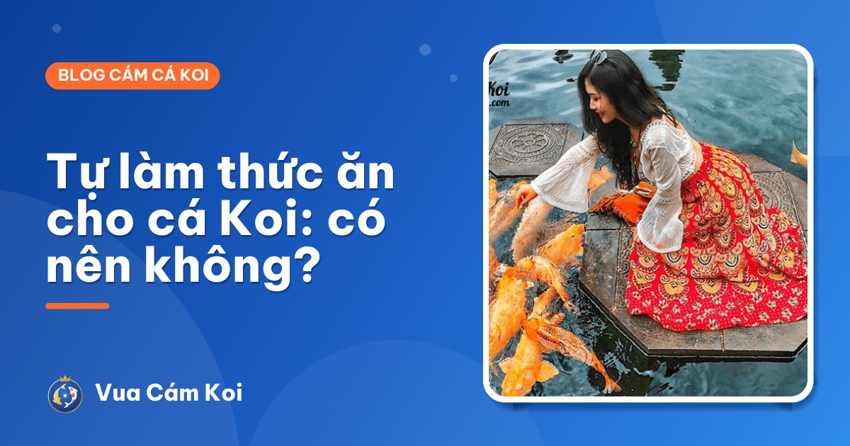 Tự làm thức ăn cho cá Koi tại nhà: có nên không, làm sao cho đúng?