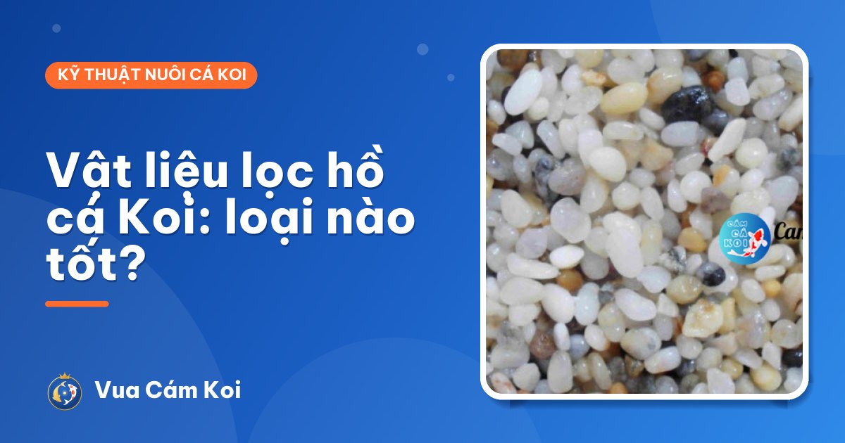 Vật liệu lọc hồ cá Koi: so sánh sứ lọc, matrix, kaldnes, bông lọc, Jmat