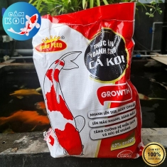 cam-king-feed/cam-ca-koi-king-feed-bao-5-kg-body-chuan-tang-truong-nhanh-len-mau-dep