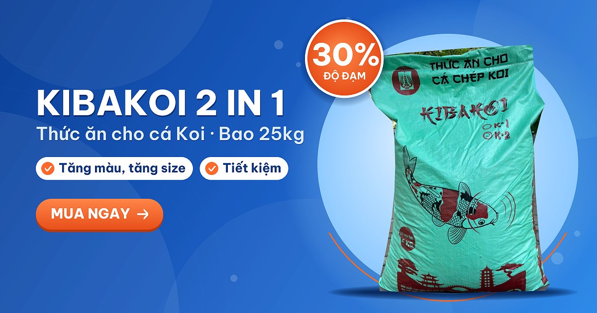 Cám cá Koi Kibakoi 2 in 1 bao 25kg tiết kiệm cho hồ đông cá
