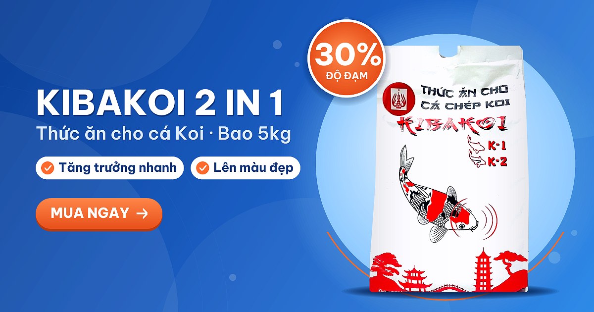 Cám cá Koi Kibakoi 2 in 1 bao 5kg tăng trưởng nhanh, lên màu đẹp