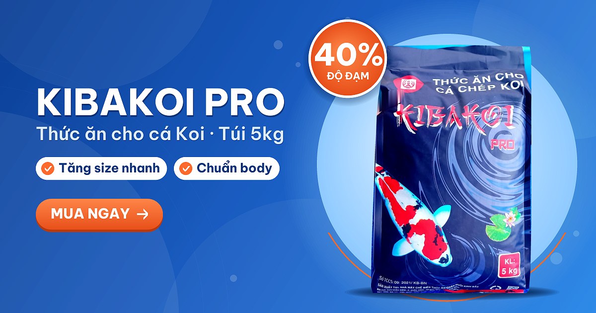 Cám cá Koi Kibakoi Pro túi 5kg 40% đạm tăng size nhanh chuẩn body