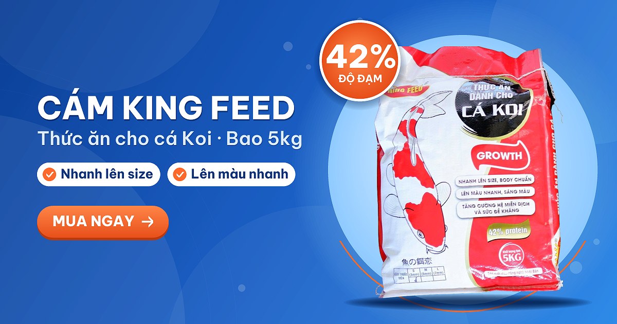 Cám cá Koi King Feed bao 5kg 42% đạm