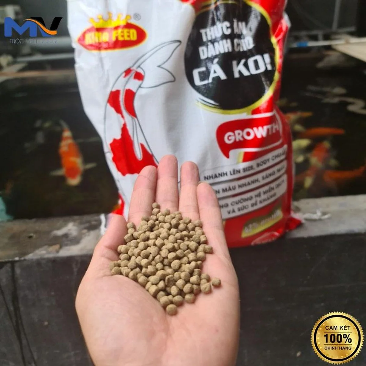 [5Kg] Cám cá koi King Feed 42% đạm - Tăng trưởng nhanh - Lên mầu đẹp - ảnh 2