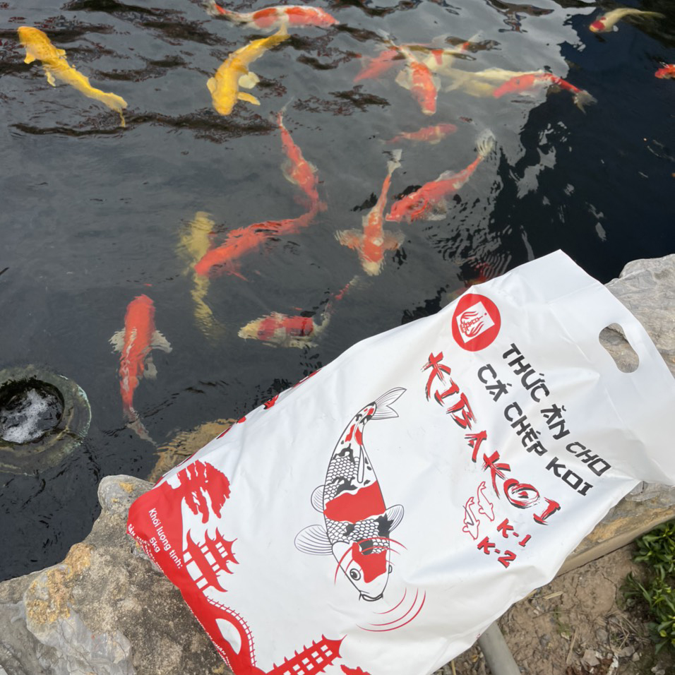 [5Kg] Thức ăn Cá Koi KIBAKOI 2 in 1 tăng trưởng, tăng màu