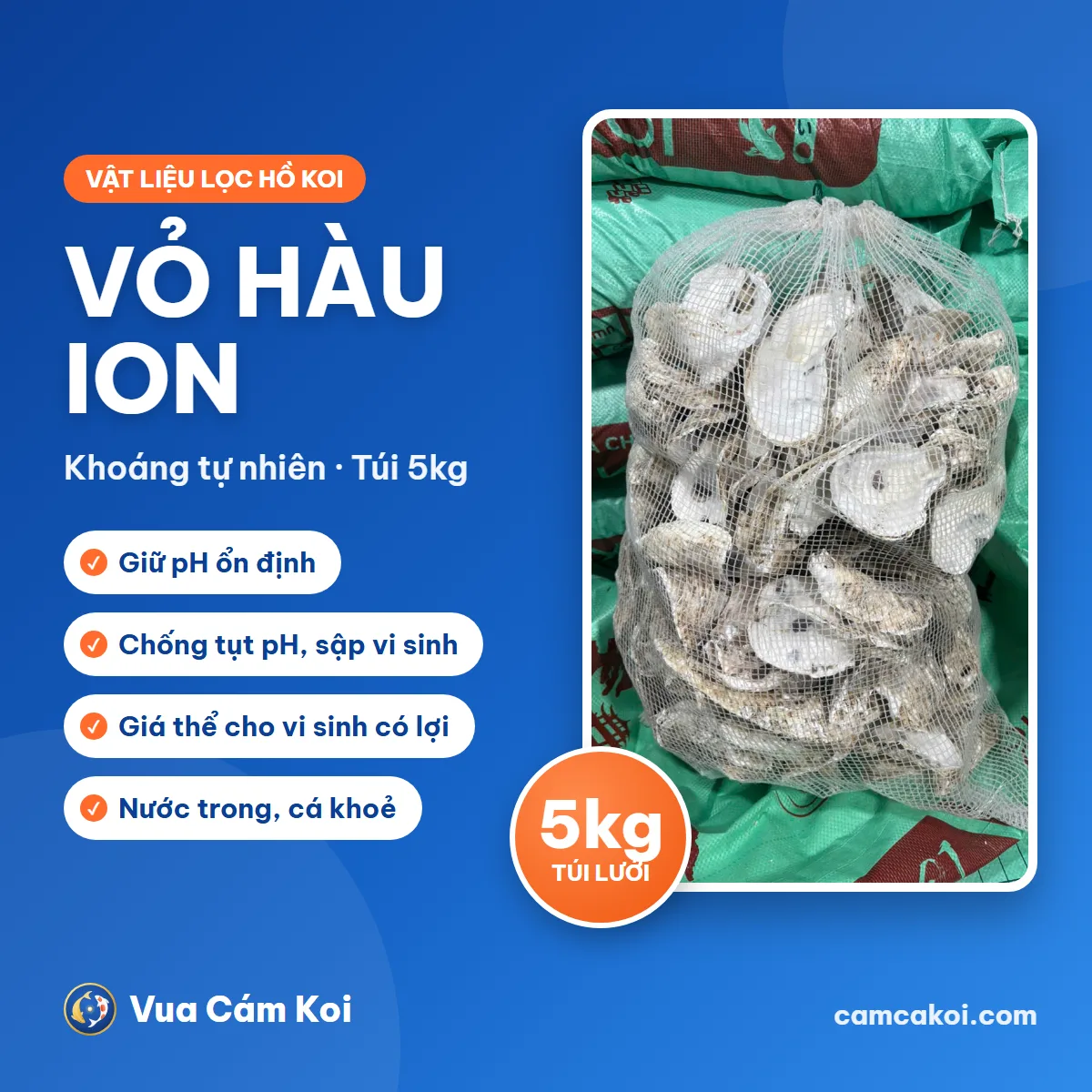 [5Kg] Vỏ hàu ion lọc hồ cá Koi – Giữ pH ổn định, nuôi vi sinh