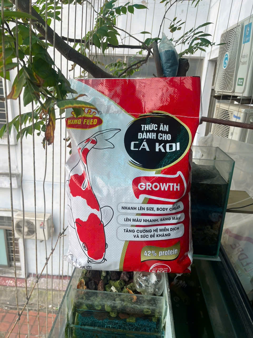 Cám King Feed 42% Đạm